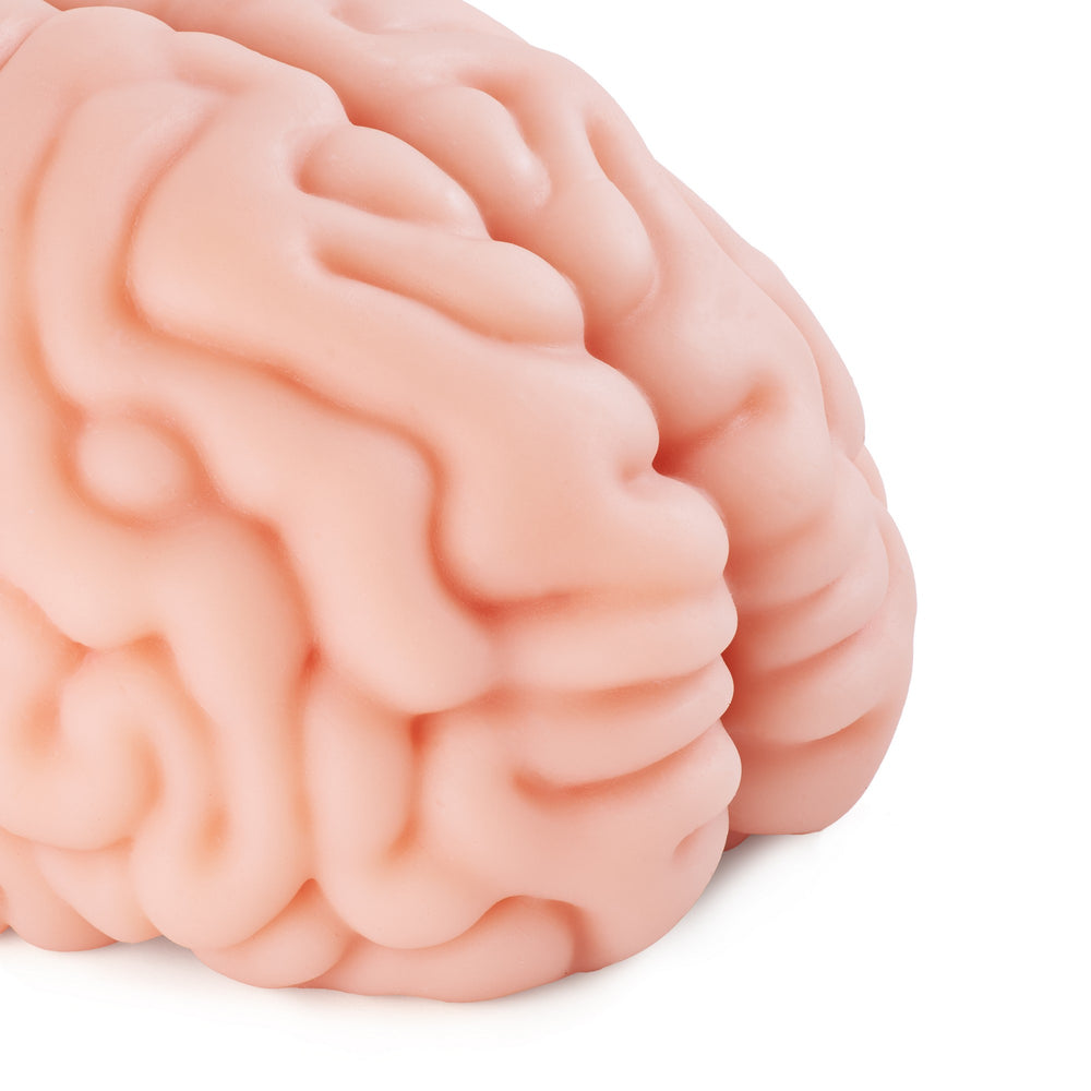 Motsu - Brain Hacker DX (Brain)