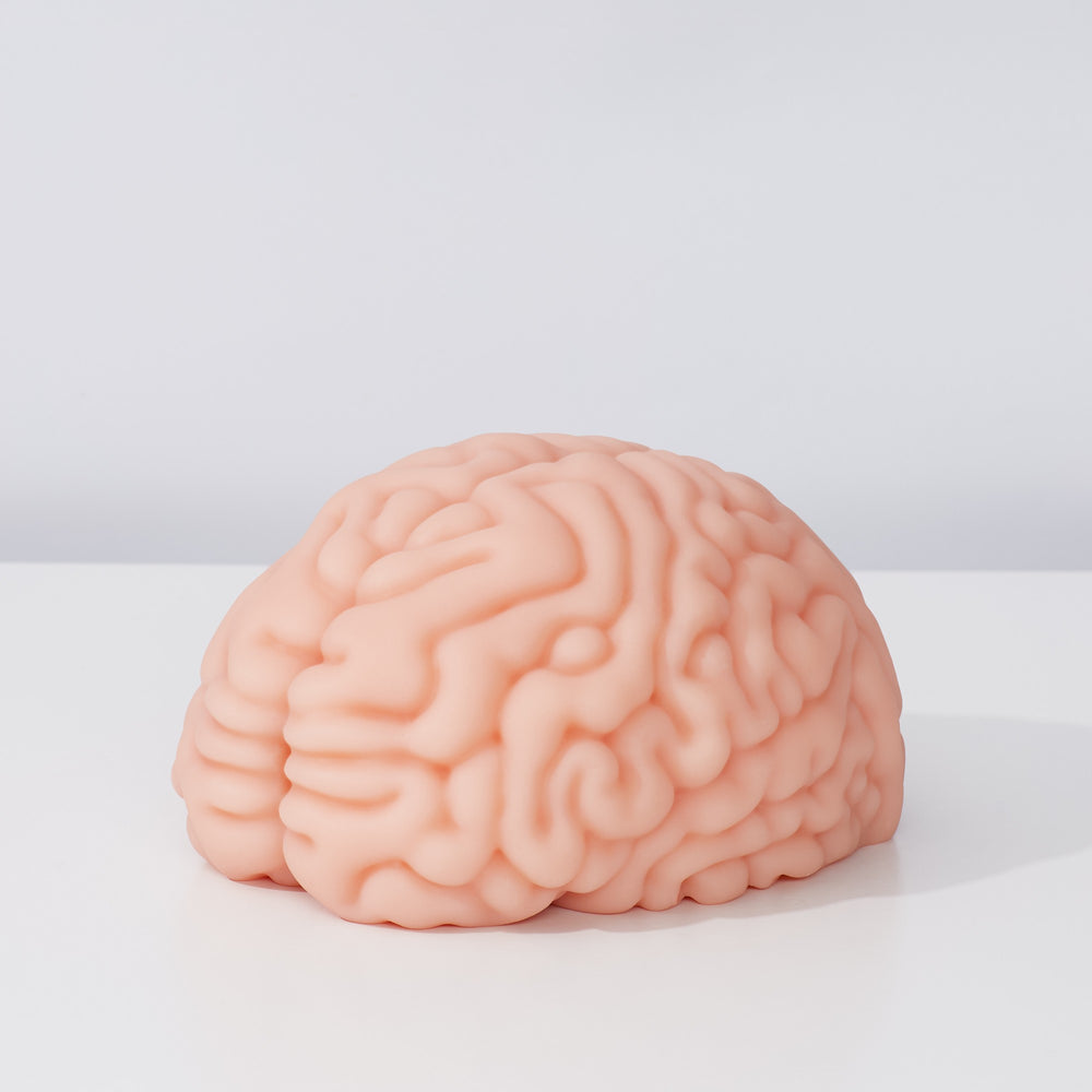 Motsu - Brain Hacker DX (Brain)