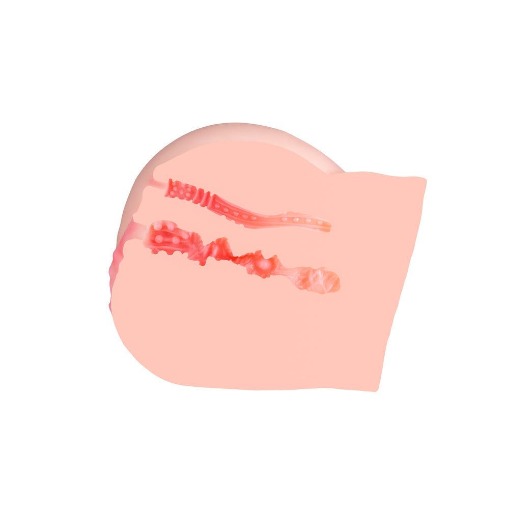 Motsu - Prinz Eugen (Ass)