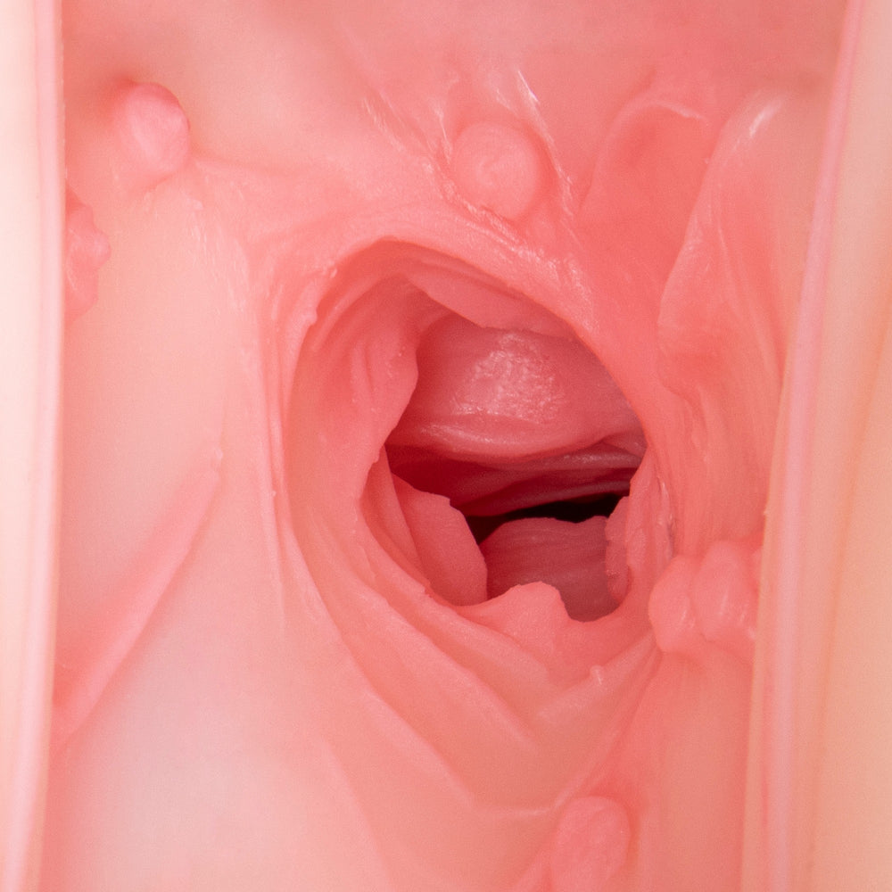 Motsu - Prinz Eugen (Ass)