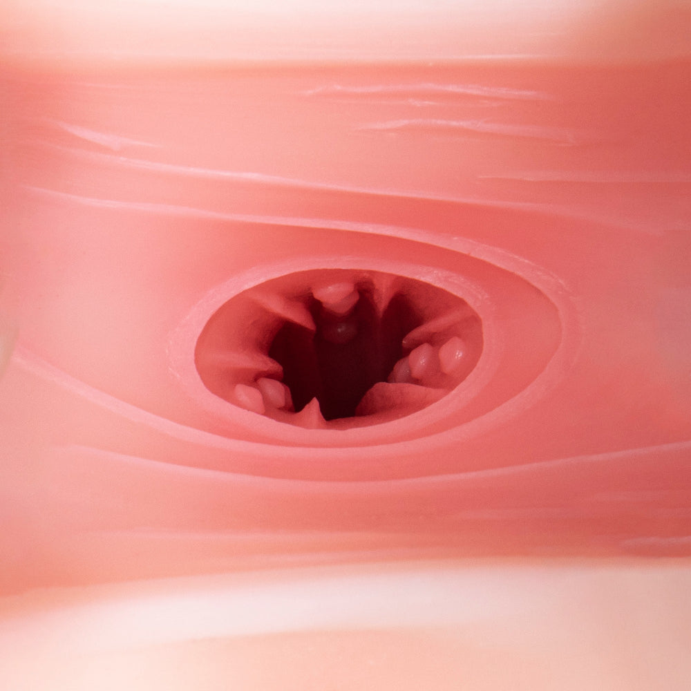 Motsu - Prinz Eugen (Ass)